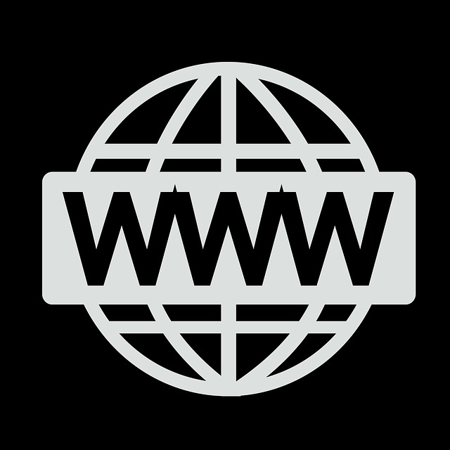 www domena